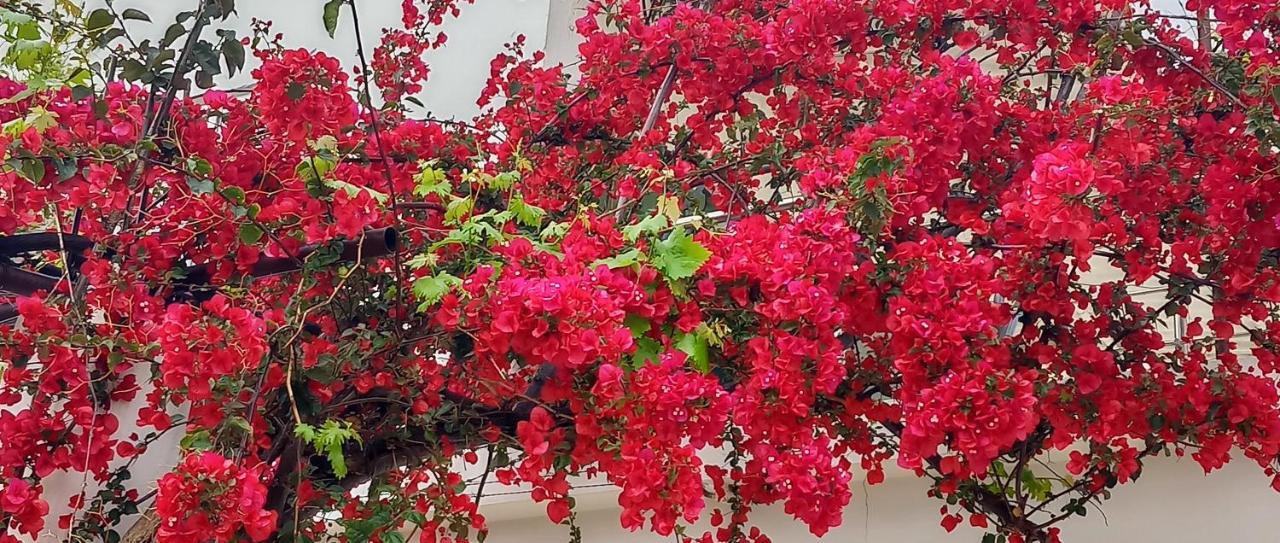 Stamatias Home, Fully Equipped Cottage 5 Minutes From The Sea Chania  Ngoại thất bức ảnh