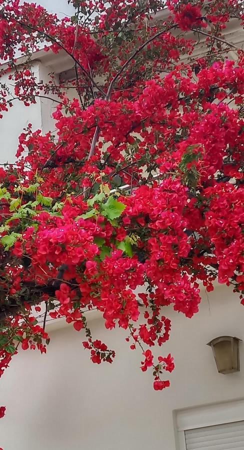 Stamatias Home, Fully Equipped Cottage 5 Minutes From The Sea Chania  Ngoại thất bức ảnh